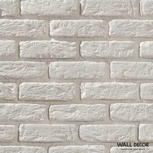 Gros plan d'un mur de briques peint en blanc avec une texture légèrement rugueuse. Dans le coin inférieur droit, "Échantillon Parement brique Panespol - Choisissez votre Design !" de Panespol™ est visible - aucune autre description n'est fournie.