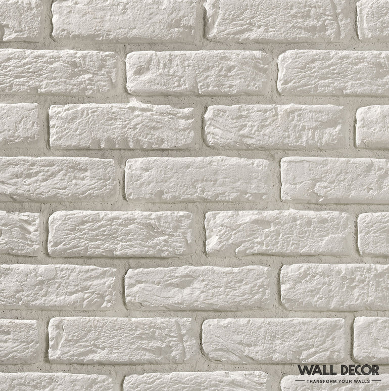 Gros plan d'un mur de briques peint en blanc avec une texture légèrement rugueuse. Dans le coin inférieur droit, 